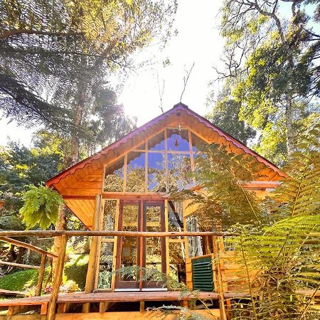 Вилла Chale Samambaia Кампус-ду-Жордау Экстерьер фото