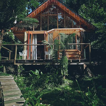 Вилла Chale Samambaia Кампус-ду-Жордау Экстерьер фото